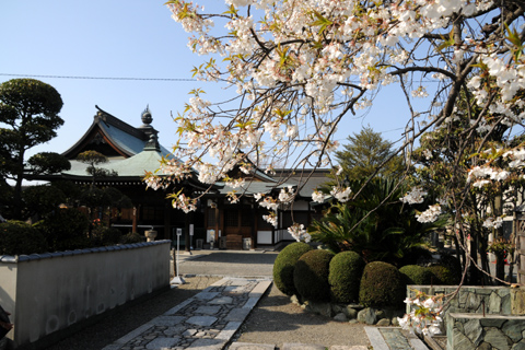 62番札所-宝寿寺